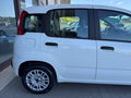 Auto Fiat