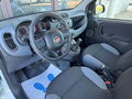Auto Fiat