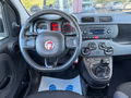 Auto Fiat