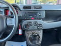 Auto Fiat