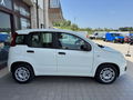 Auto Fiat