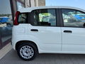 Auto Fiat